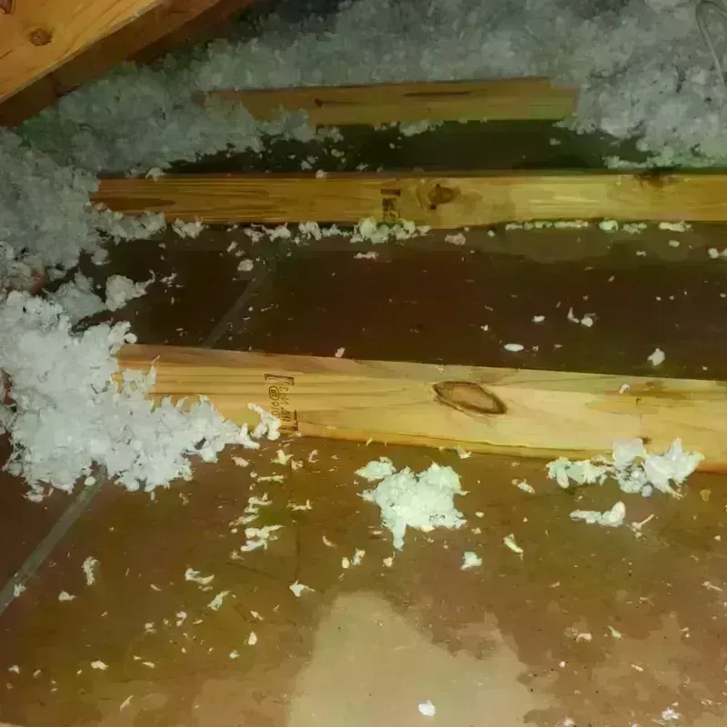 Best Attic Water Damage Service in Windham, CT